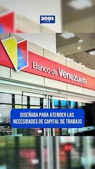 De esta forma puedes obtener un crédito empresarial del Banco de Venezuela