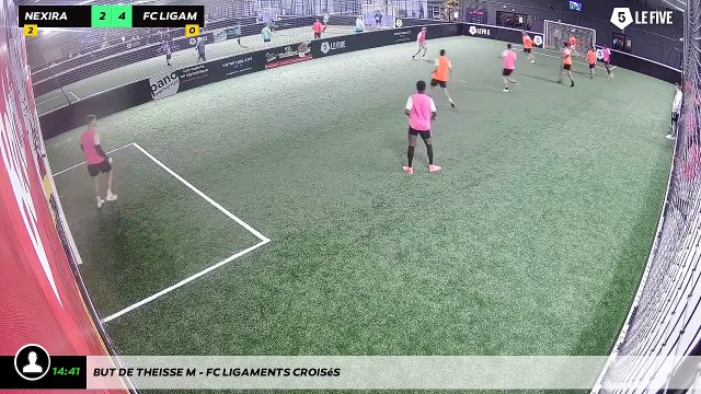 But de Theisse M - Fc Ligaments Croisés