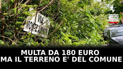 "Mi hanno fatto una multa di 180 euro per oleandri non tagliati. Ma il terreno è del Comune"
