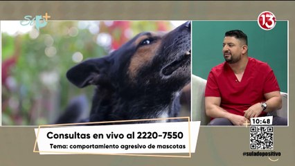 Entrevista - Mascotas ansiosas y agresivas