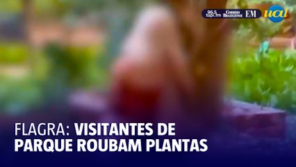 Frequentadores do Parque Municipal roubam plantas
