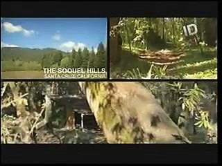 JOHN LINLEY FRAZIER - DEMENTES