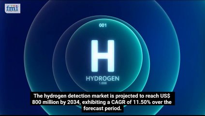 Hydrogen Detection Market Share & Forecast by 2034 | FMI