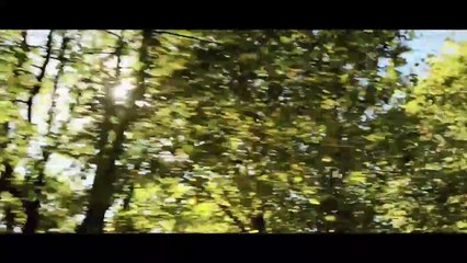 Os Melhores Anos de Nossas Vidas Trailer Legendado