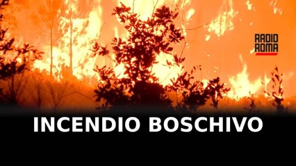Rogo da braciere, a fuoco a Itri 3 ettari di bosco