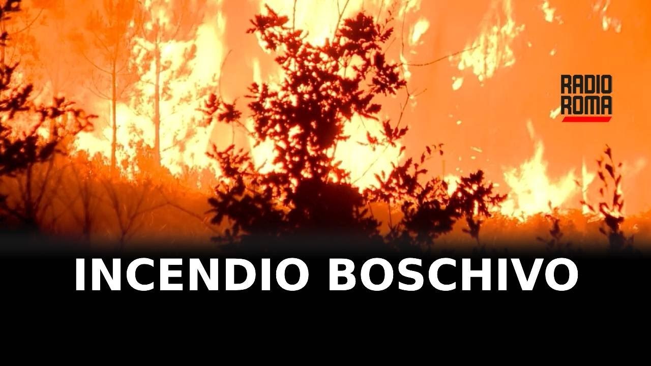 Rogo da braciere, a fuoco a Itri 3 ettari di bosco - Video Dailymotion