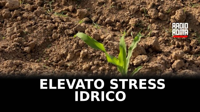 Siccità, Lazio al sesto posto tra le regioni in crisi