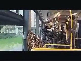 TCRM - Mercedes-Benz Citaro O530 G II Vol. 5 0953