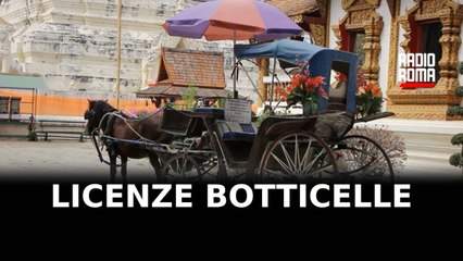 Oipa a Campidoglio: trattare per conversione licenze botticelle