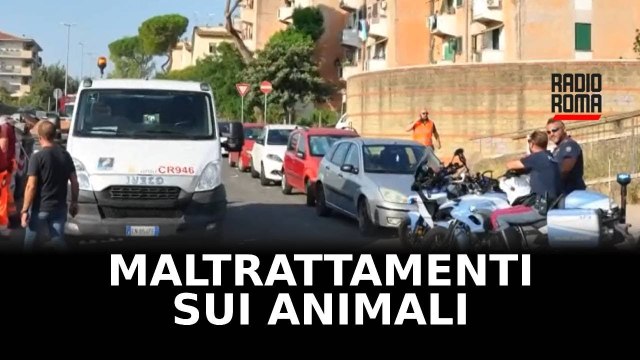 Getta il cane nel cassonetto, denunciato a Roma