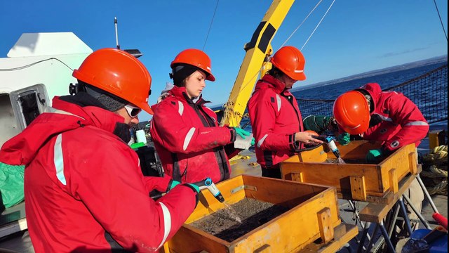 e Cégep de La Pocatière plonge ses élèves dans l’étude des champignons marins du fleuve Saint-Laurent