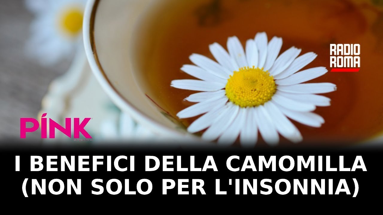 Italiani sempre più insonni i benefici della camomilla non solo per dormire