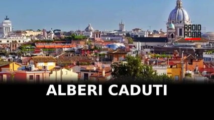 Alberi caduti, indagati due agenti del Campidoglio