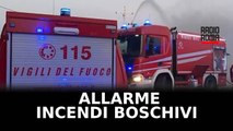 Allarme incendi boschivi, vigili del fuoco in sofferenza