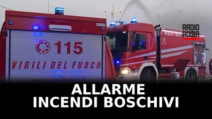 Allarme incendi boschivi, vigili del fuoco in sofferenza