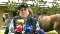 Melbourne Cup winning horse ‘Knight’s Choice’ bred in Walcha, NSW