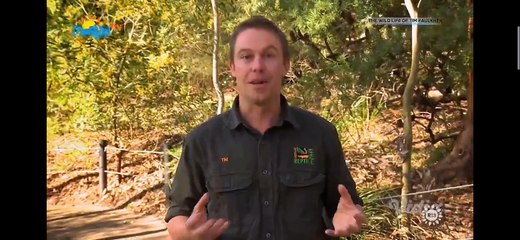 Kehidupan alam liar tim Faulkner part 9