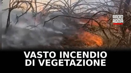 Ancora roghi di sterpaglie a Roma e provincia