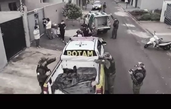 Papagaios e aves de espécie em extinção são resgatados em Arapongas