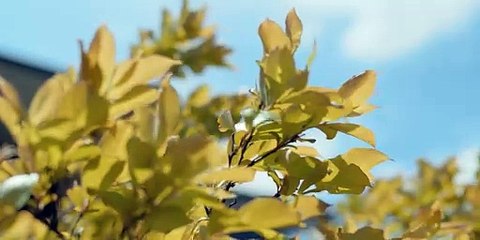 Compact Home Lifts customer experience