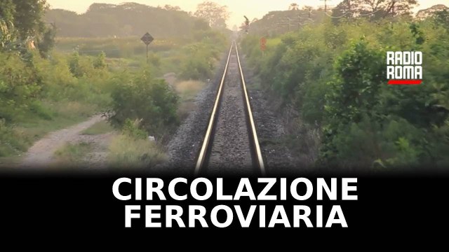 Tornano i treni sulla Orte-Roma dopo gli incendi