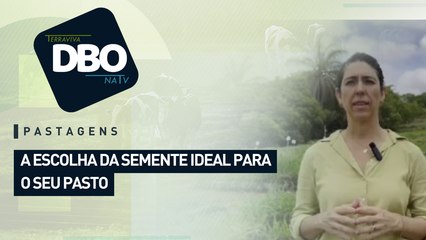Pastagens: a escolha da semente ideal para o seu pasto