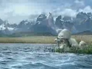 pub freedent tabs white