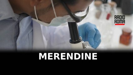 Oltre 200 kg di hashish in confezioni merendine