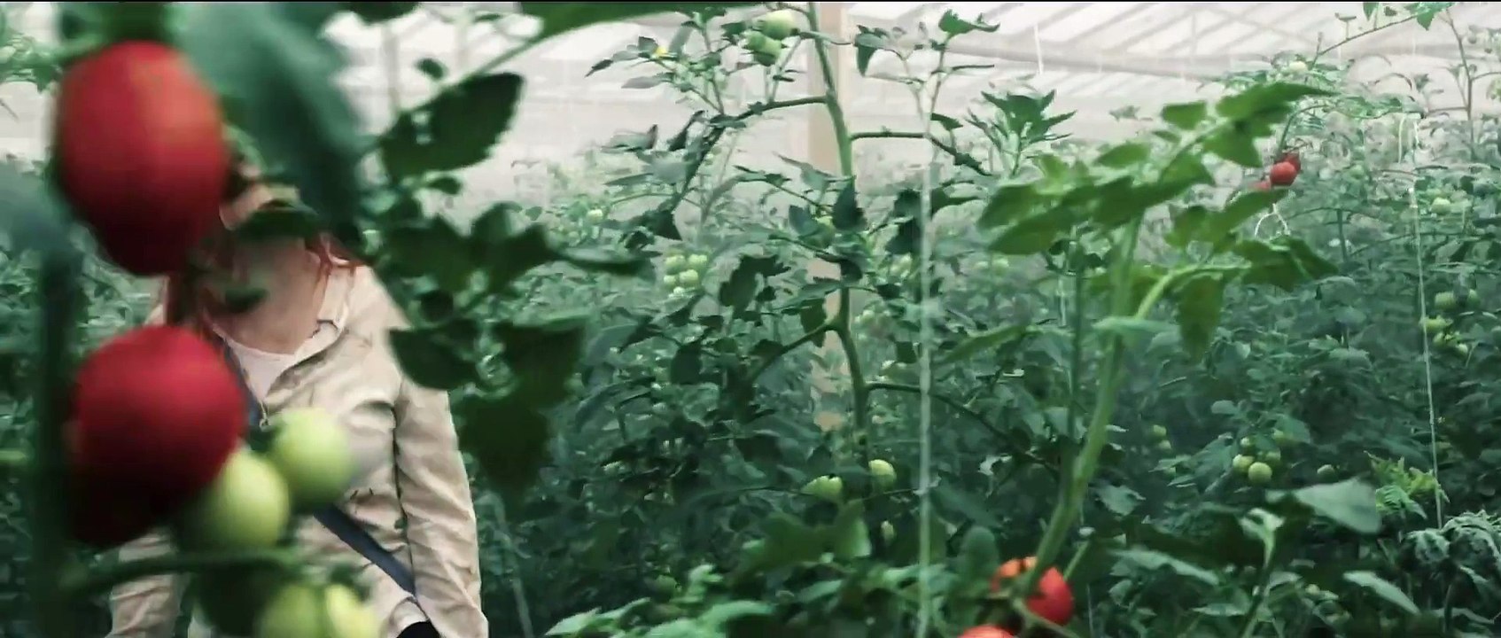 Endzeit | movie | 2019 | Official Trailer