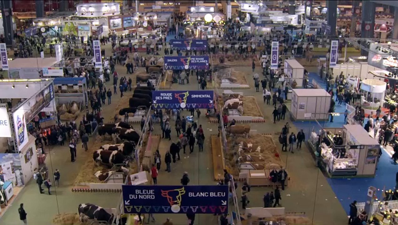 Saint Amour - Drei gute Jahrgänge | movie | 2016 | Official Trailer