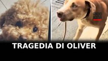 Largo Preneste, indigna la tragedia di Oliver