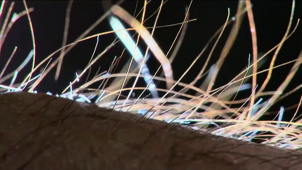 We Are Your Friends | movie | 2015 | Official Trailer