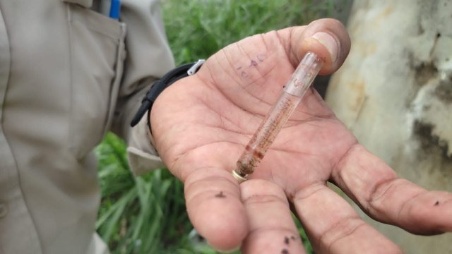 Minsa alerta sobre aumento de muertes por dengue: 46 fallecimientos y más de 25 mil casos en el año