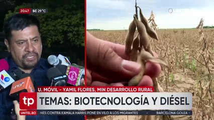 Gobierno oficializa la resolución que da luz verde para el uso de soya HB4 en la campaña de verano 2024 – 2025