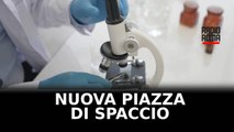 Sgominata nuova piazza di spaccio a Roma