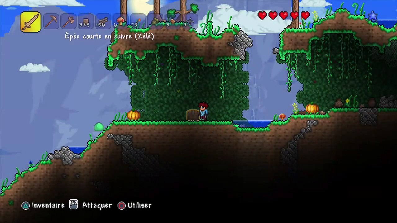 Terraria online multiplayer - ps3