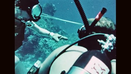 Mafias and Banks 2of3 Follow the Money