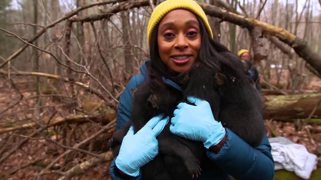 IR Interview: Dr. Rae Wynn-Grant & Peter Gros For "Mutual of Omaha's Wild Kingdom" [NBC-S2]  - Part I