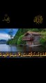 surah MUNAFIQOON new 2#IslamicShorts #shorts #QuranRecitation #shortfeed #shortsvideo #shortsvideo