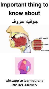 jawfia letters | important things to know #Arabic #Quran #tajweed #learn #makhrij