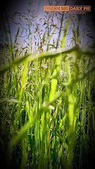 One Choice That Can Change Everything: Finding Hope and Purpose with Jesus