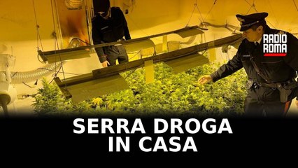 Serra per la droga in casa, 2 arresti a Latina