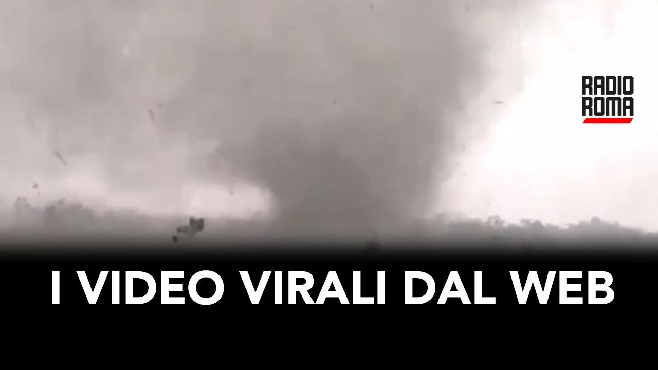 I Video virali dal web
