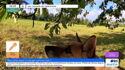 07/11/2024 - ICI Matin France Bleu Touraine