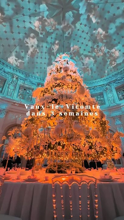 Le château de Vaux-le-Vicomte s’habille pour Noël à partir du 16 novembre ✨💛  La visite incontournable ❤️  🎁 Tous nos bons plans à retrouver en bio ! ❤️‍🔥  👉🏻 Abonne-toi au Petit Mauda pour plus d'inspiration ! 🌳  ©️ Crédit : @encalechesimone  #peti