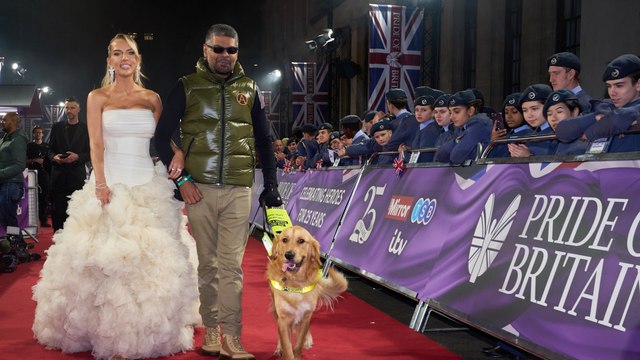Guide dog becomes star at red carpet events