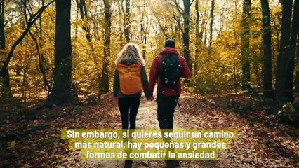 4 Formas De Reducir La Ansiedad De Forma Natural