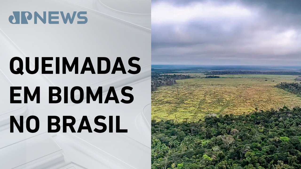 Desmatamento cai 30% na Amazônia e 25% no Cerrado, segundo Inpe