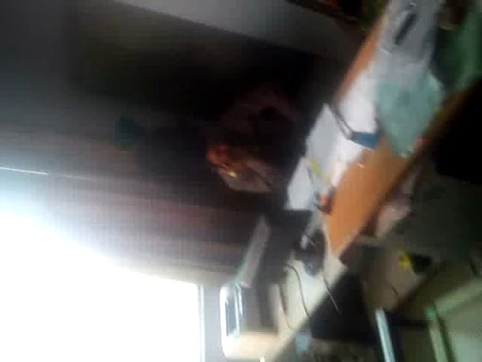 MOV00005
