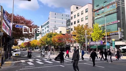 vlog ¦ coreano le puso EL CUERNO a su novio CONMIGO, dia rural con ABRIL, nuevo AMIGUITO y otoño